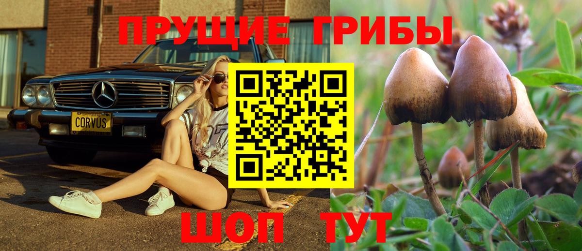 Магнитогорск  Псилоцибиновые грибы мицелий  Вход с VPN 